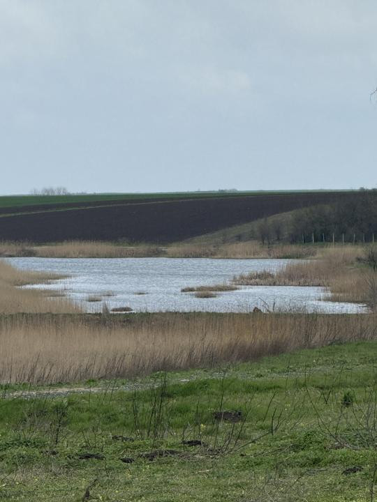 Teren Frumusani Gaz- Curent 400 mp |  D.N. 4