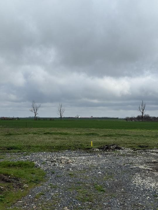 Teren Frumusani Gaz- Curent 400 mp |  D.N. 4