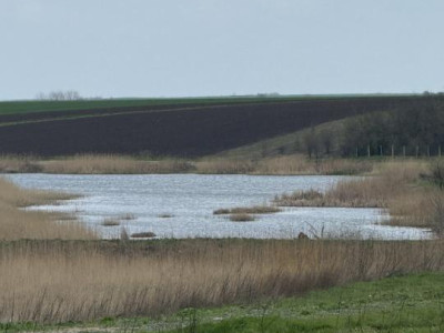 Teren Frumusani Gaz- Curent 400 mp |  D.N. 4