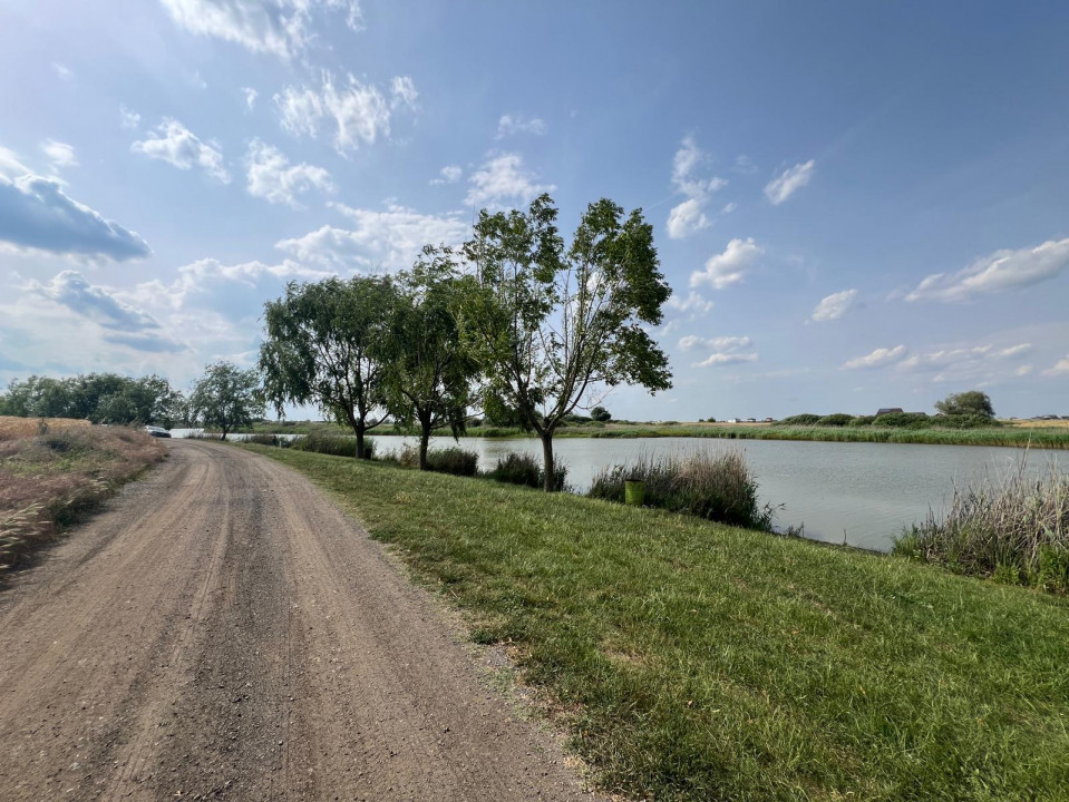 Teren Berceni La Lacuri | Oportunitate Investitie | 