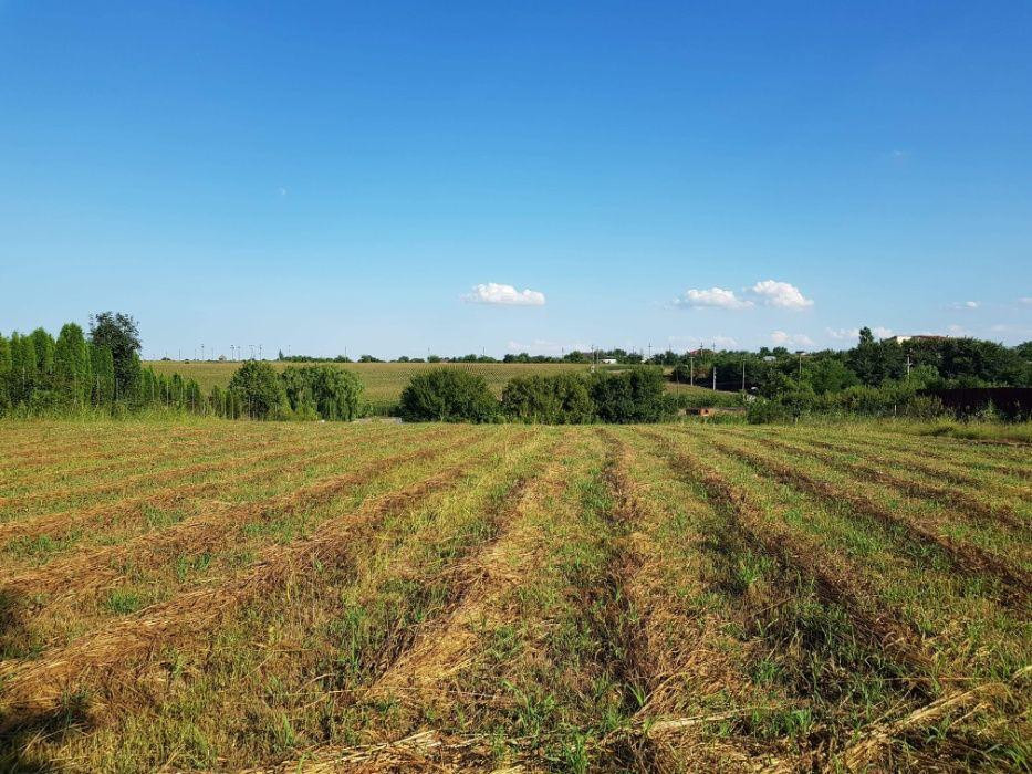 Teren Intravilan | Adunatii Copaceni | 3400 Mp | 22 Km Bucuresti 